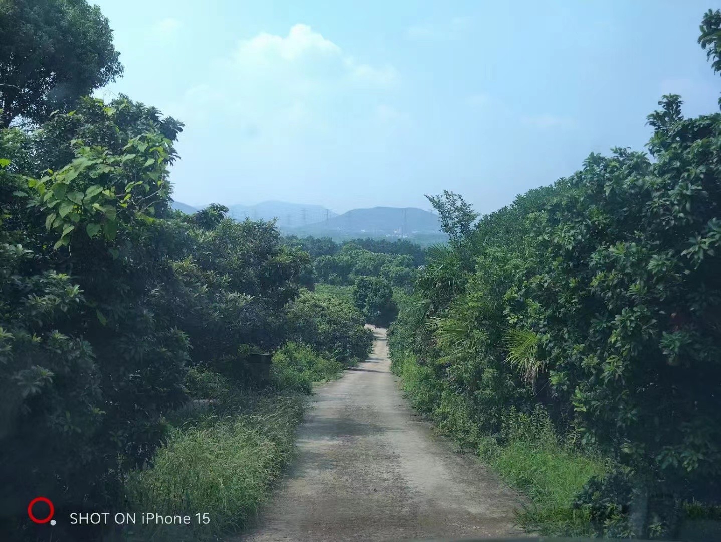 Nana International Trade wholesale shop